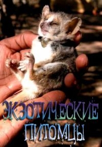 Экзотические питомцы