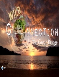 Соединяя континенты