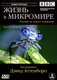 Жизнь в микромире