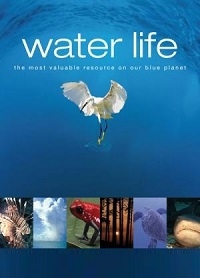 Водная жизнь