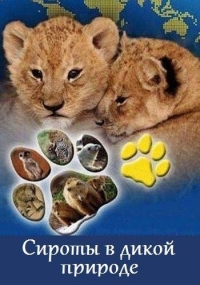 Дикие звери-сироты