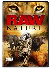 Дикая природа