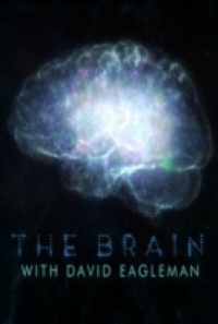 Мозг с Дэвидом Иглменом