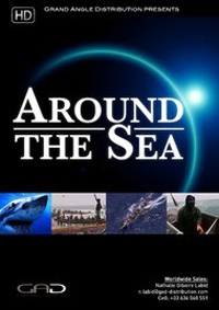 Море вокруг