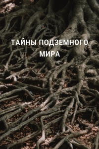 Тайны подземного мира
