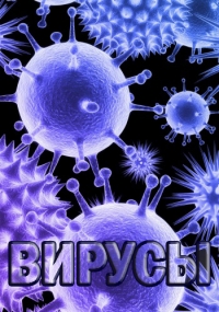 Вирусы