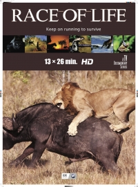 Гонка жизни