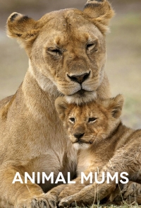 Заботливые мамы