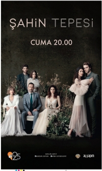 Соколиный холм