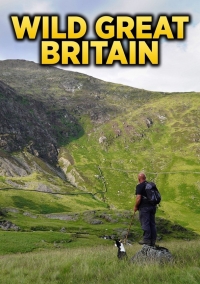 Дикая природа Великобритании