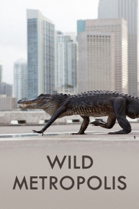 Дикие животные: Завоевание мегаполиса