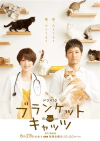 Коты в одеялках