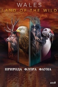 Уэльс: дикая земля