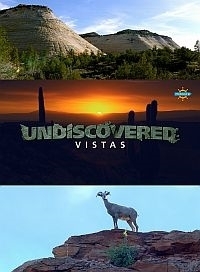 Дикая территория