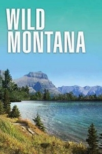 Дикая Монтана