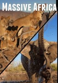 Бескрайняя Африка