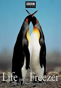Жизнь в морозильнике