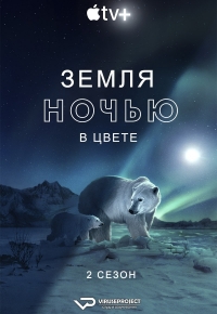 Земля ночью в цвете
