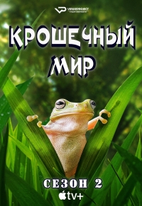 Крошечный мир