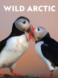 Дикая Арктика
