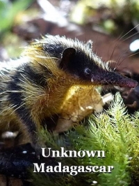 Неизвестный Мадагаскар