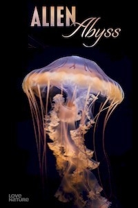 Инопланетная бездна