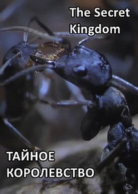 Тайное королевство