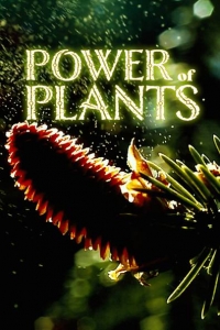 Сила растений