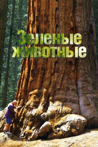 Зеленые животные