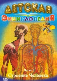 Строение человека