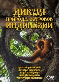 Дикая природа островов Индонезии