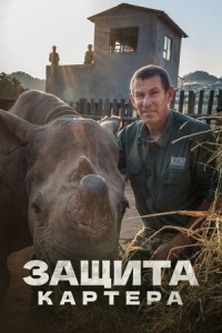 Защита Картера