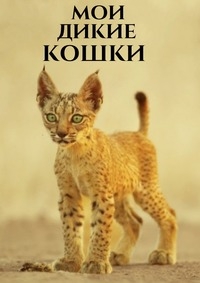 Мои дикие кошки