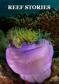 Истории о рифах