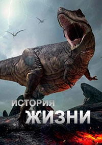 История жизни (2012)