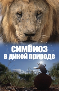 Симбиоз в дикой природе