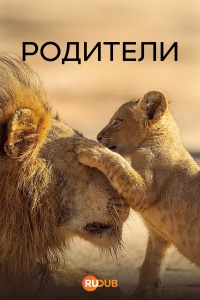 Родители (2025)