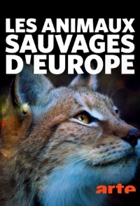 В европейской глуши