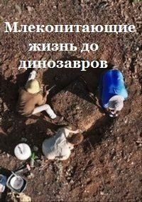 Млекопитающие: жизнь до динозавров