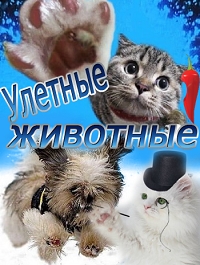 Улетные животные